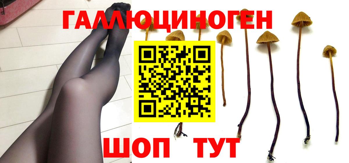 Богородицк  Галлюциногенные грибы MAGIC MUSHROOMS  Вход с VPN 