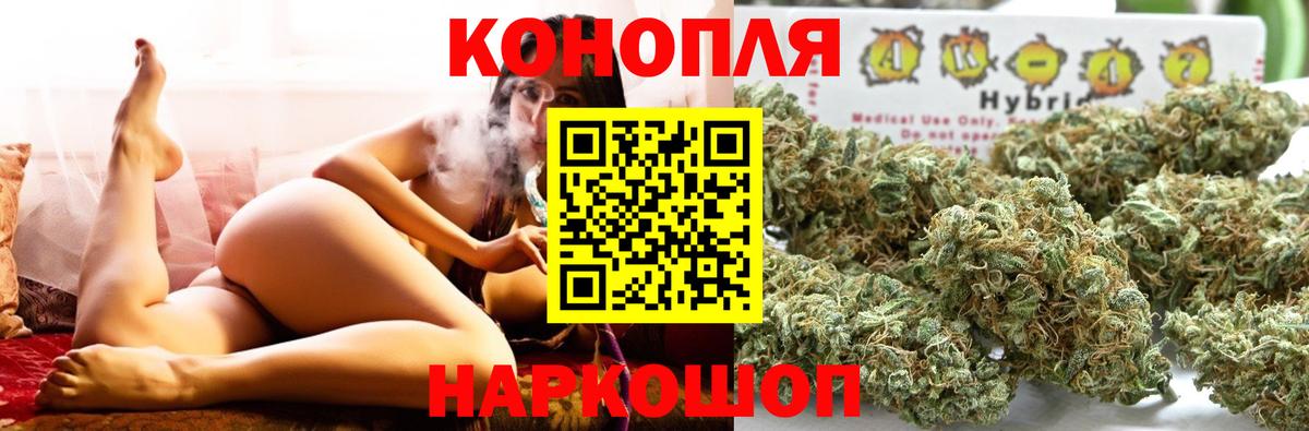 Шишки марихуана семена Богородицк